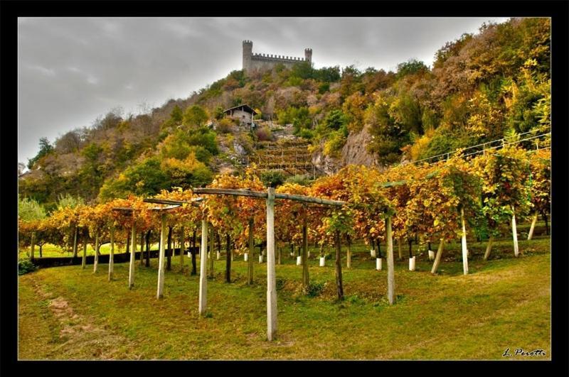 Bed and Breakfast Comunita' Ospitali Bidrino Borgofranco d'Ivrea Exterior foto